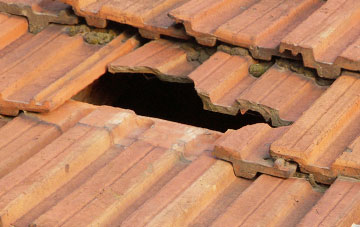 roof repair Brockfield, Devon